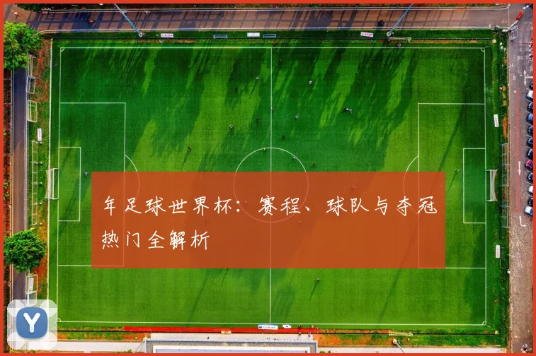 年足球世界杯：赛程、球队与夺冠热门全解析